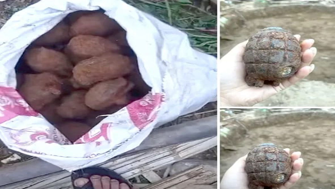 Arunachal Pradesh: Over 40 rusted hand grenades unearthed at construction site