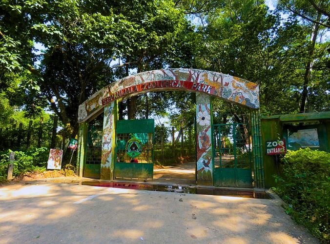 Roar of Joy: Tripura's Sepahijala Zoo welcomes three tiger cubs after 53 years