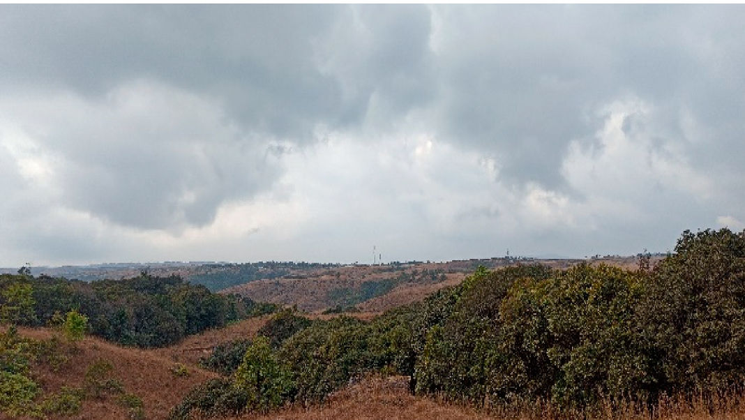 Vanishing green: Forests in East Khasi Hills face steady decline