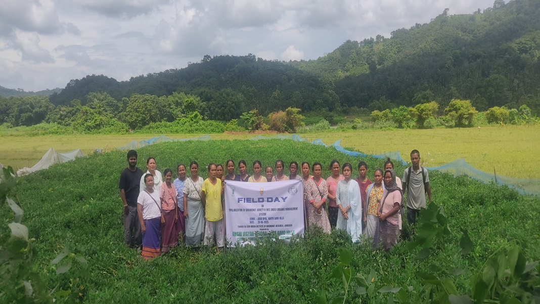 North Garo Hills looks at groundnut cultivation to boost farmers’ incom