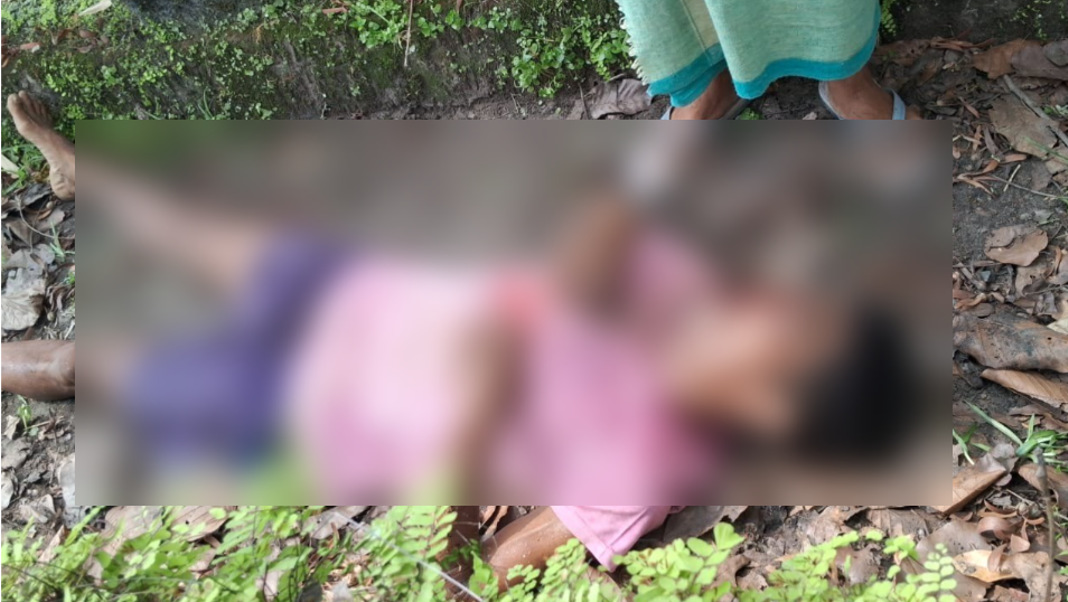 Man injured in elephant attack near South Garo Hills reserve forest