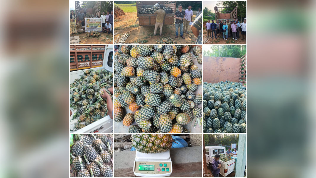 Tomdaksan FPO ships first 3,000-tonne pineapple consignment from East Garo Hills