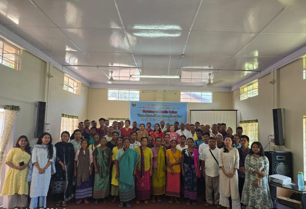 Tura hosts workshop to revive Comilla Cotton with focus on modern farming and market potential