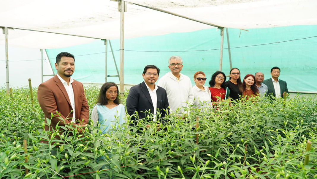 Push to upscale floriculture in Meghalaya, 240 Cr to benefit 3000 farmers