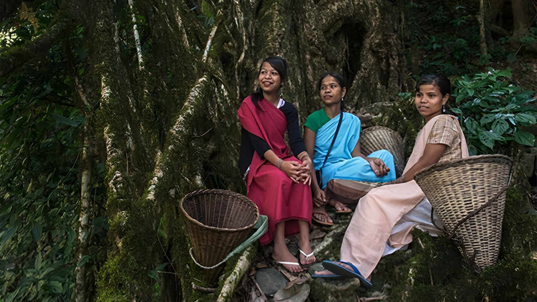 Meghalaya People Representative Image