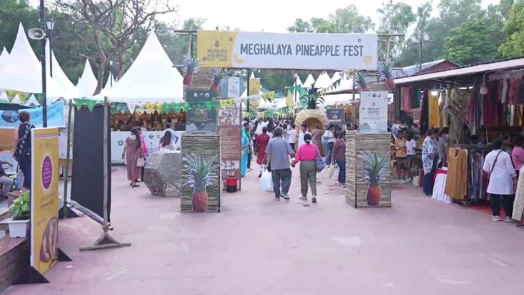 Meghalaya Pineapple Festival 2025: Sweet success and a vision for farmers’ future