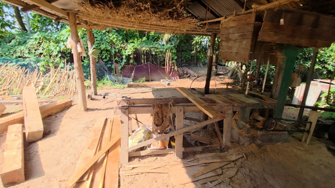 Forest officials accused of running illegal timber syndicate in West Kamrup