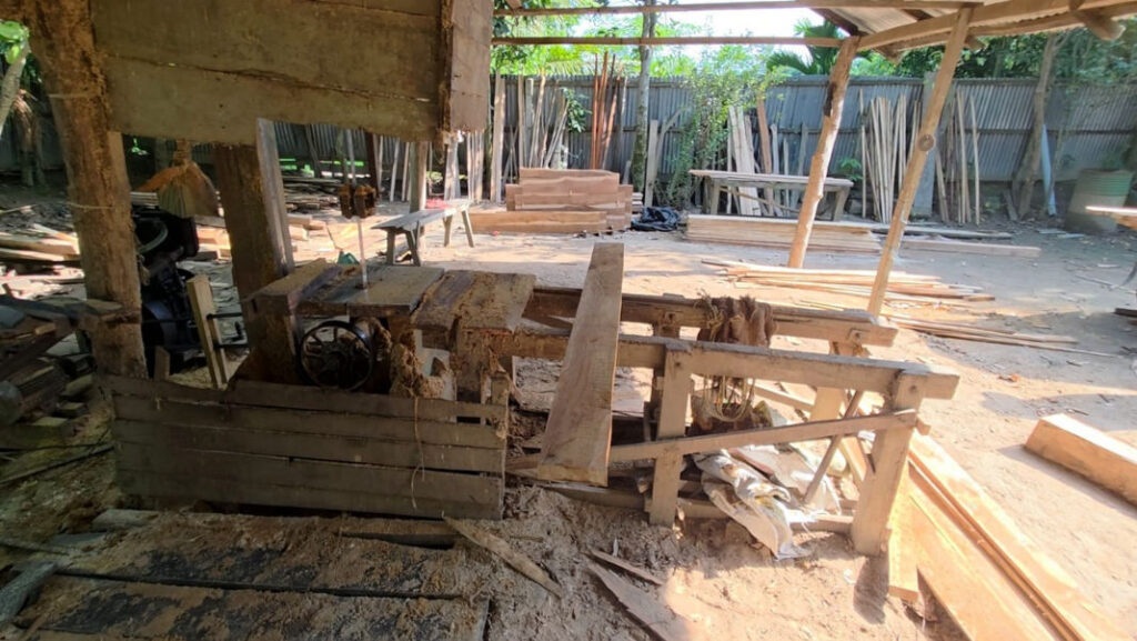 Forest officials accused of running illegal timber syndicate in West Kamrup