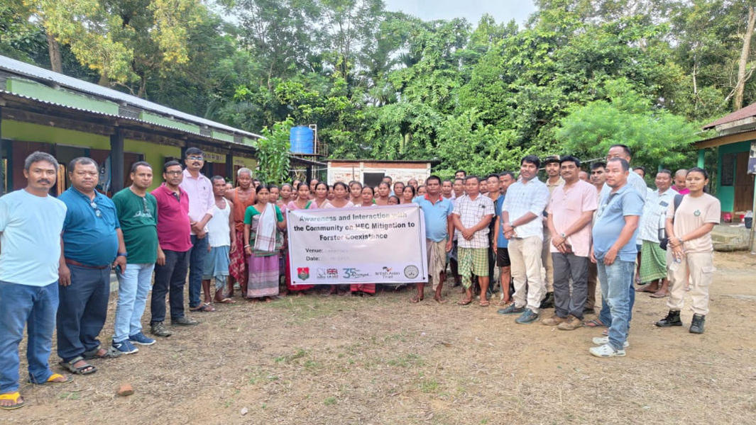 Forest departments of Assam, Meghalaya urged for joint patrolling to curb human-elephant conflict