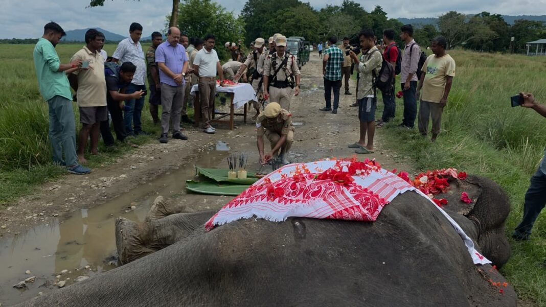 Kaziranga elephant Mohanmala death