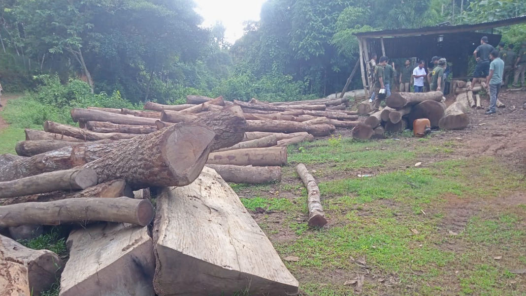 Authorities shut down six illegal timber sawmills in Meghalaya