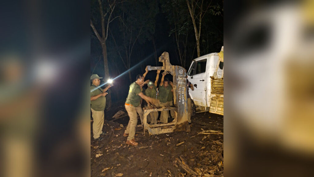 Authorities shut down six illegal timber sawmills in Meghalaya