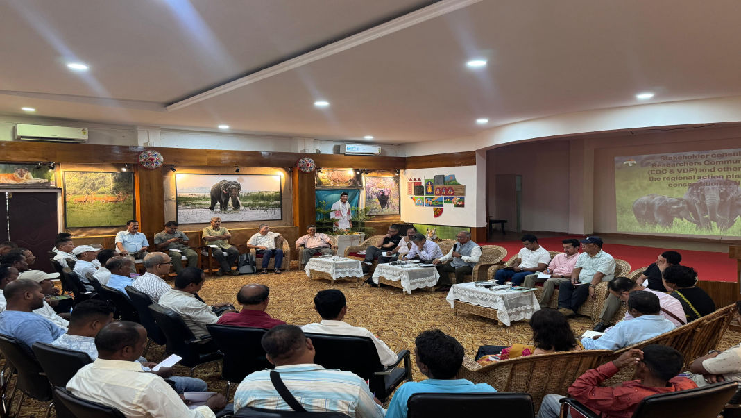 Elephant Action Plan for Northeast focuses on corridors, community participation, and anti-poaching