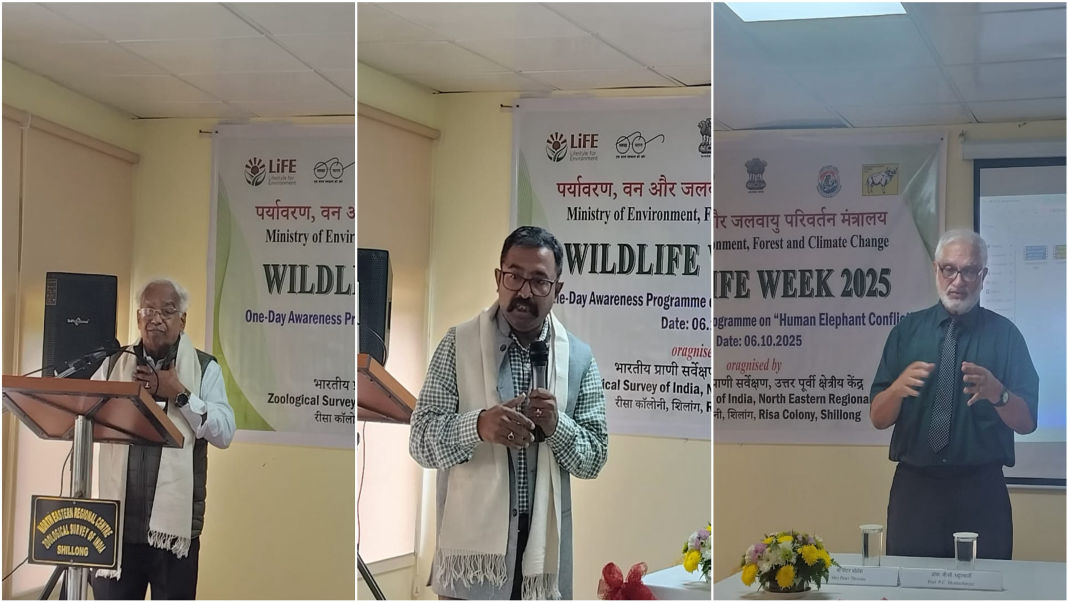 Experts call for community-driven solutions to rising human-elephant conflicts in Northeast India