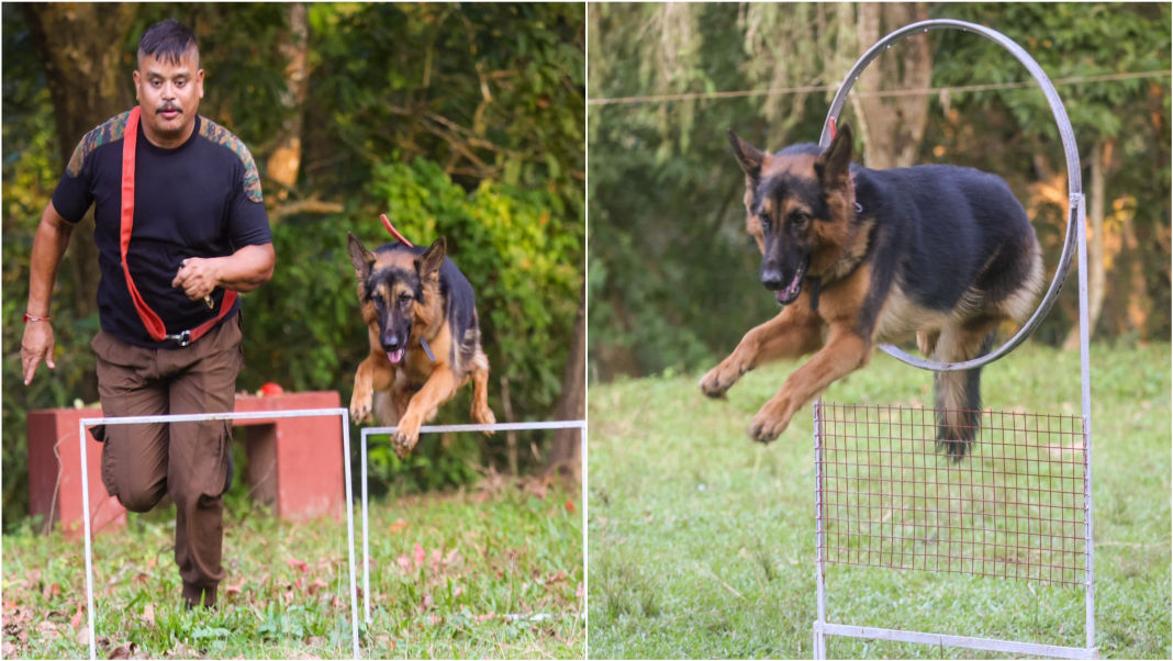 Kaziranga Hosts forensics K9 workshop to strengthen wildlife crime investigations