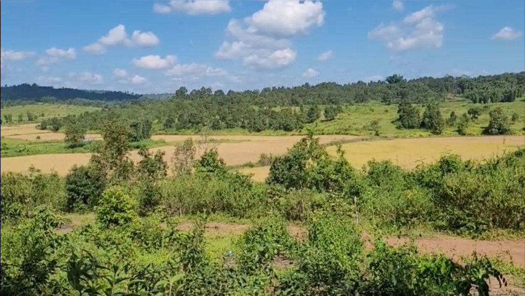 Harvesting to resume in Lapangap after peace meeting between Meghalaya and Assam officials