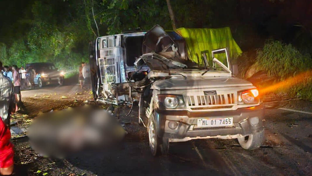 Two killed, one injured as truck rams into Govt vehicle on NH-06