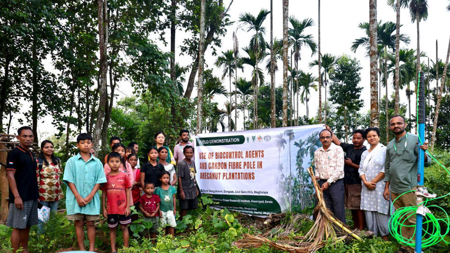 Experts demonstrate new methods to combat arecanut disease in East Garo Hills
