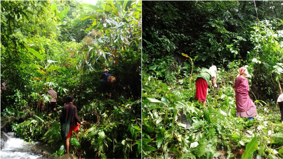 In Meghalaya’s East Khasi Hills, a tiny village turns to banana trees to revive a dying river