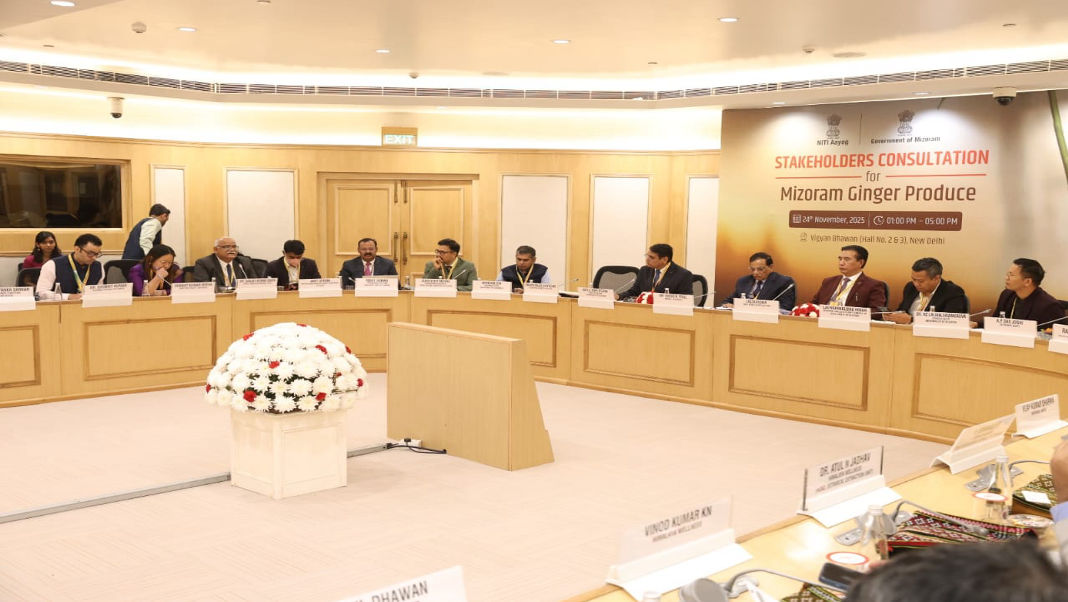 NITI Aayog backs Mizoram’s bid to emerge as India’s ginger capital