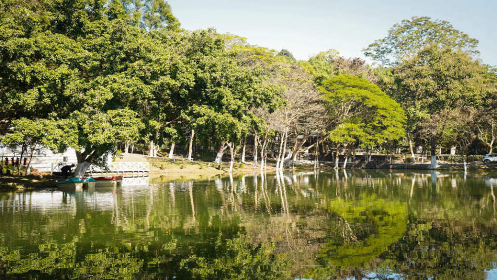 Once a declining water body, Williamnagar’s new Soil Lake steps up to drive tourism and restore local ecology