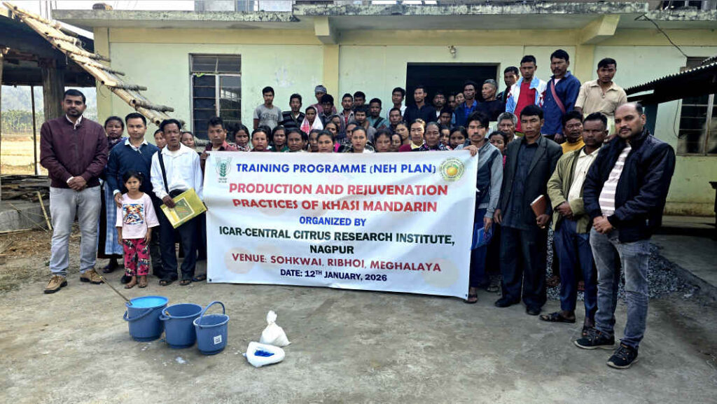 ICAR-CCRI trains Khasi Mandarin farmers in Ri-Bhoi to revive citrus orchards