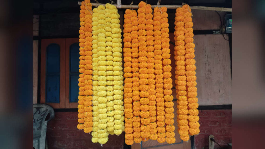 From marigolds to markets: Assam tribal woman builds thriving rural enterprise, empowers dozens