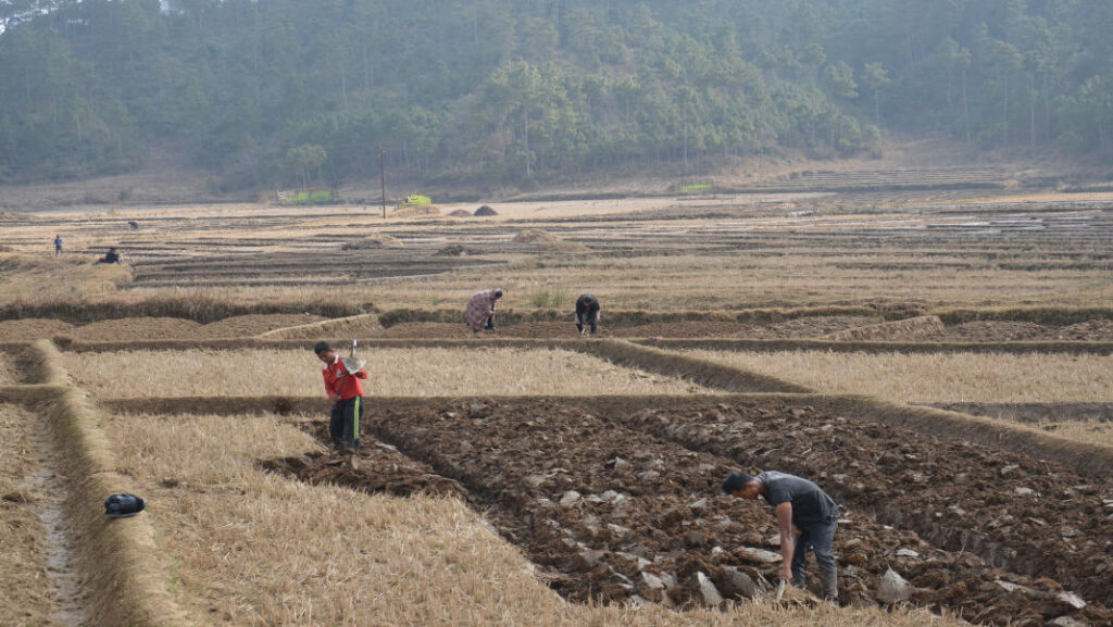 When climate change hit Meghalaya, villages turned to old knowledge