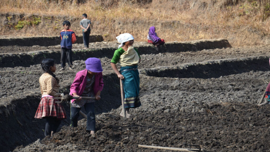 When climate change hit Meghalaya, villages turned to old knowledge