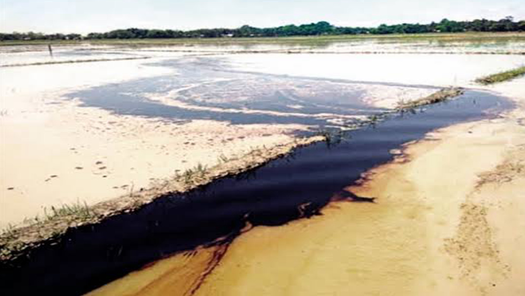 A crude oil pipeline operated by Oil India Limited (OIL) burst late Monday night at Shalmari Dighalia Gaon in Tingkhong, spilling oil into nearby agricultural fields and fish-rearing ponds and causing losses to local residents.