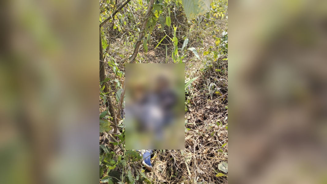Man killed in elephant attack in South Garo Hills