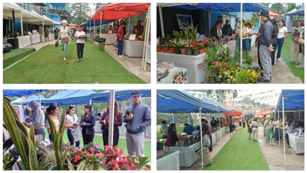 Direct-to-consumer push gains traction at Shillong Farmers’ Market