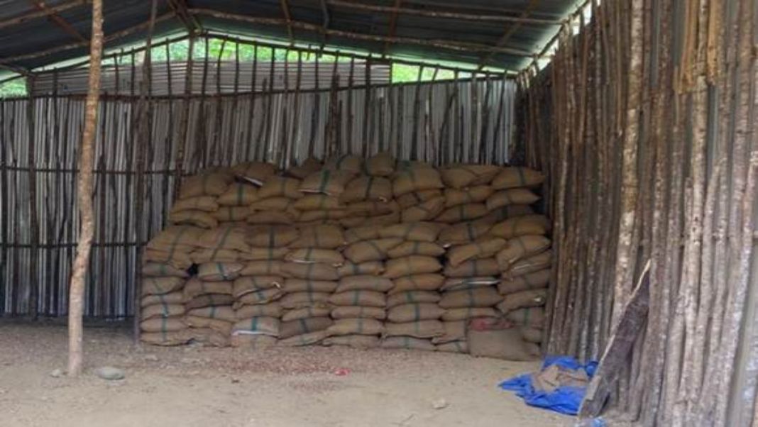 DRI seizes 60,000 kg smuggled areca nuts in Northeast; five arrested