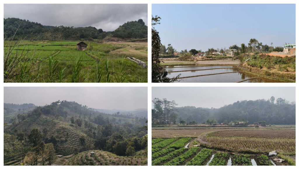 Centuries-old Khasi conservation rules still shaping Meghalaya’s forests and biodiversity: Study