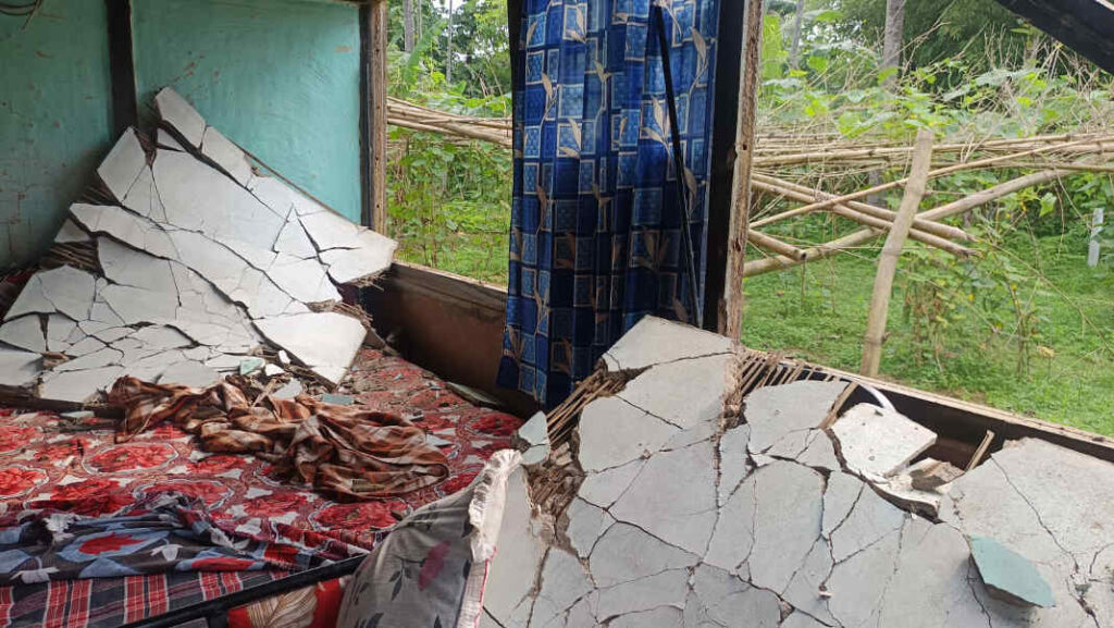 Daily elephant raids trigger fear, destroy homes in Palashbari village
