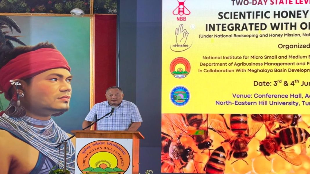 Honey beekeeping seminar at NEHU Tura to focus on boosting oilseed yield and rural income