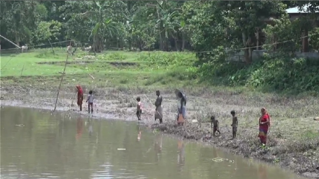 Recurring fish deaths raise fresh questions over industrial pollution in Boko