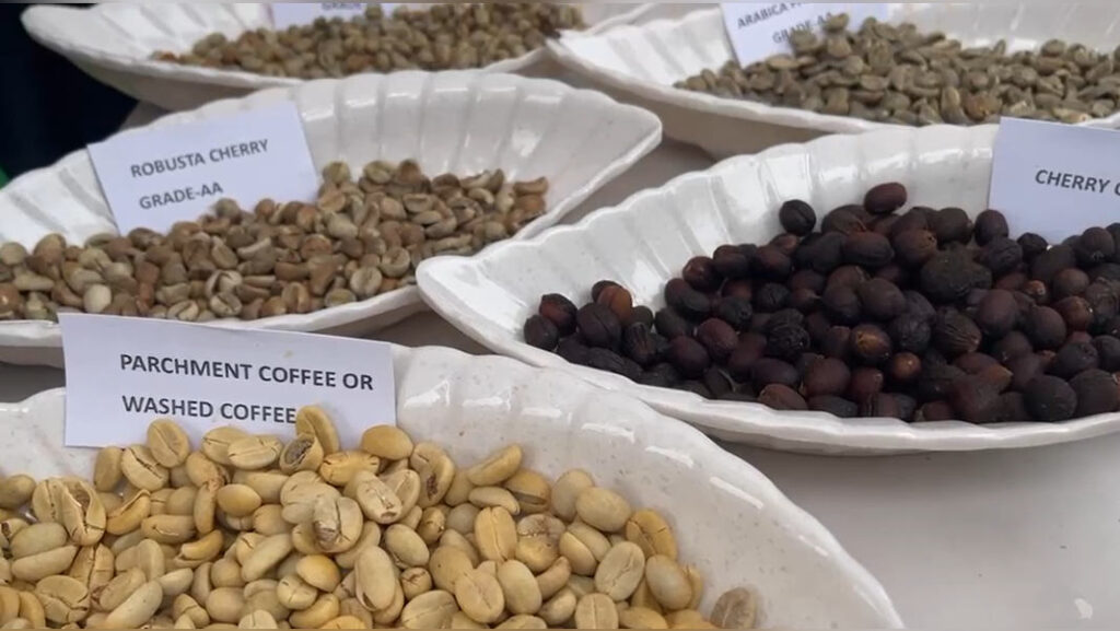 How Jampui Hills is putting Tripura on India's coffee map