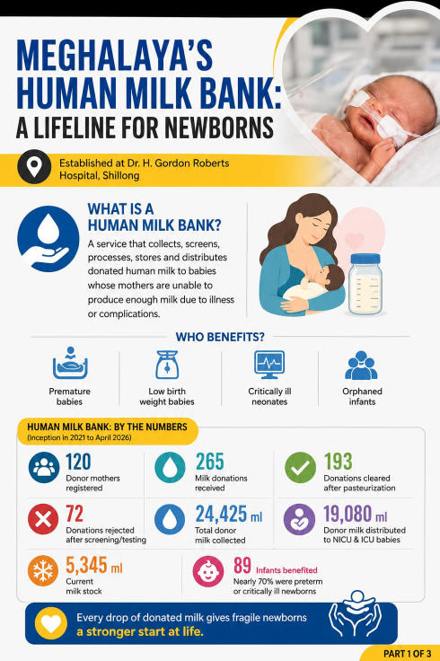 Every drop counts: Meghalaya's human milk bank gives vulnerable newborns a lifeline