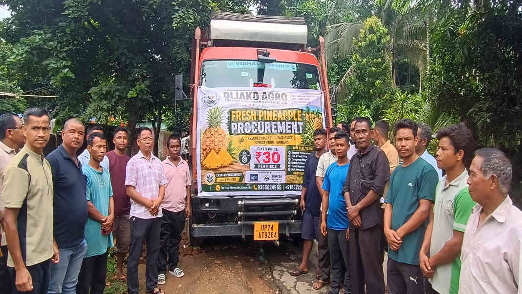 Direct link to Delhi promises better returns for Meghalaya pineapple growers