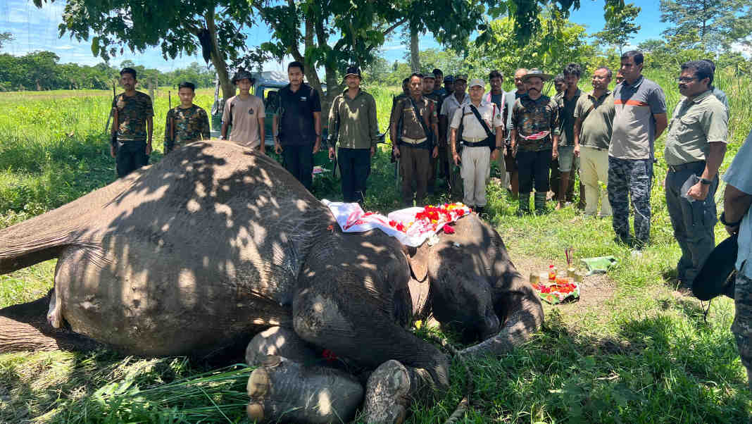 Kaziranga's legendary patrol elephant Joymala dies at 66, accorded guard of honour